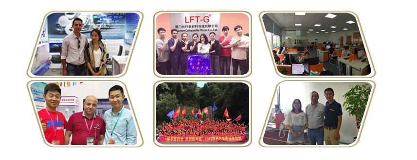 LFT-G® PP LGF30.jpg